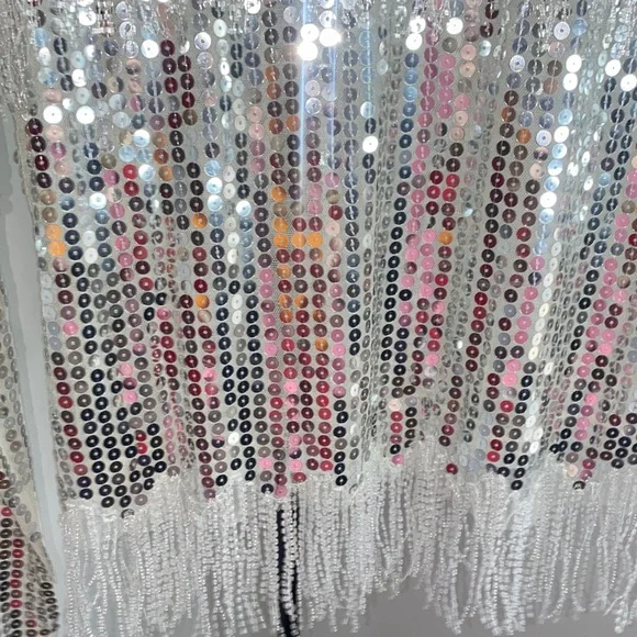 Endless Rose Silver Sequin Fringe Top - Picture 5 of 9